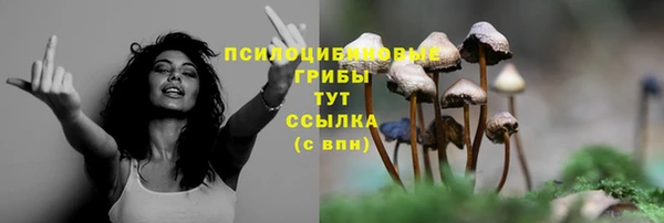 прущий лед Белая Холуница