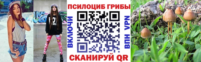 наркота  Воскресенск  Псилоцибиновые грибы ЛСД 